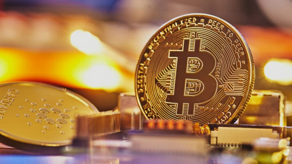 Se o bitcoin não existisse, quão diferente seria sua vida?