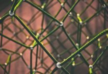 Taurus se consolida como “super validador” da Canton Network