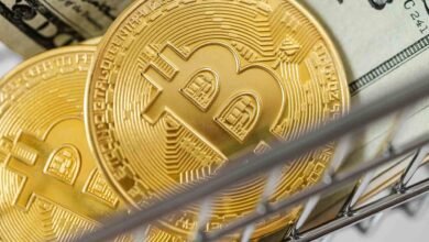 BlackRock amplia posição em ETF de Bitcoin