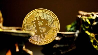 DDC compra 100 BTC durante queda e ações disparam 22%